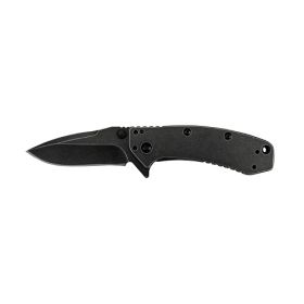 Kershaw Cryo Assisted 2.75 in Black Plain Stainless Handle